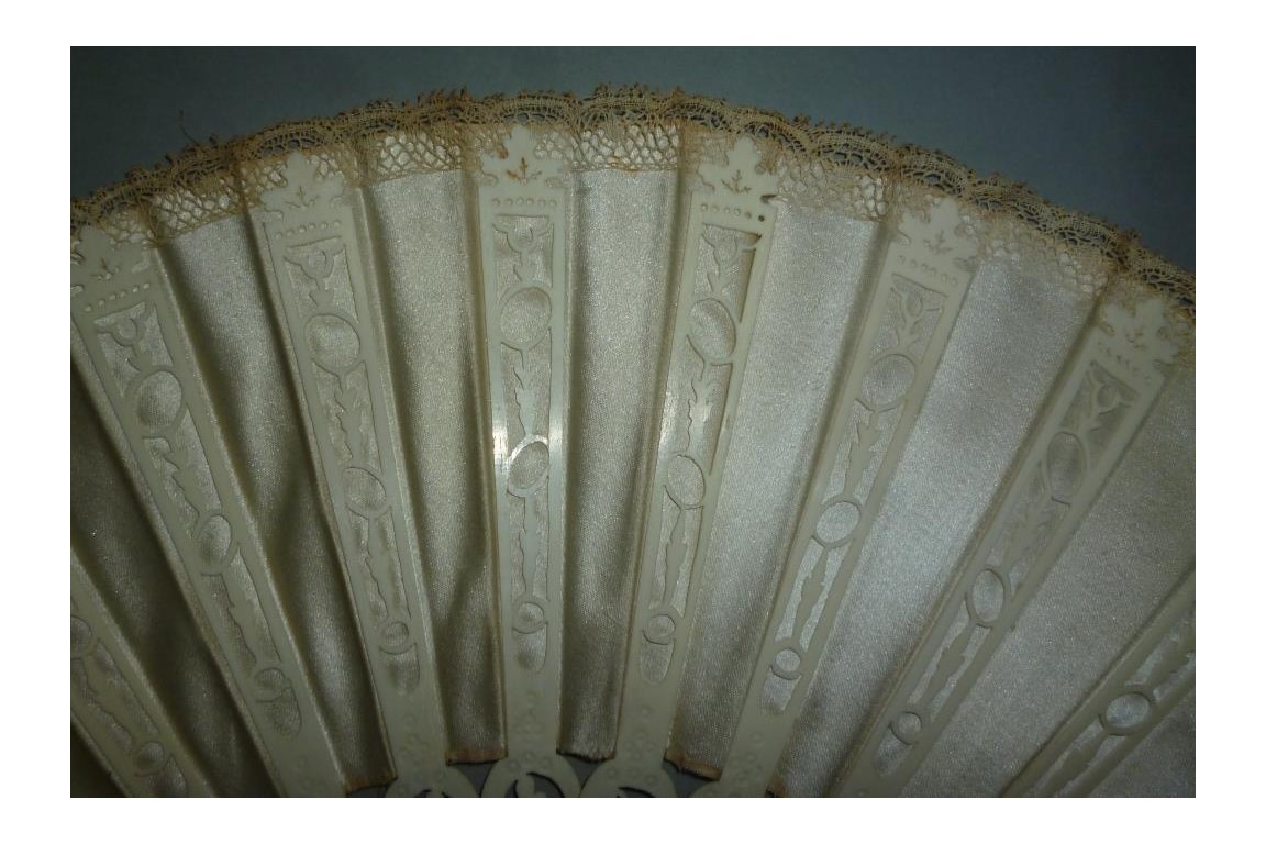 White sultane, fan circa 1900