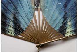 Blue butterfly, early 20th century fan
