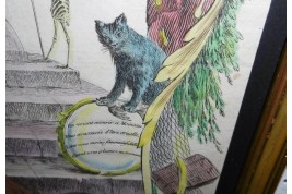 Le chat et le moineau d'Iris, estampe XVIIIème