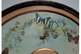 Real butterflies, fan leaf by Gardo and Poulin, circa 1895