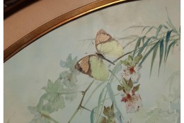 Real butterflies, fan leaf by Gardo and Poulin, circa 1895