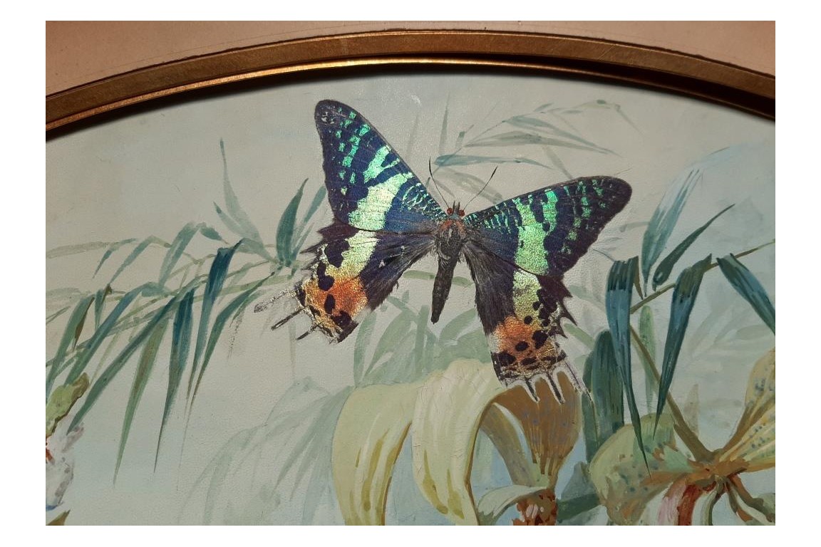 Real butterflies, fan leaf by Gardo and Poulin, circa 1895