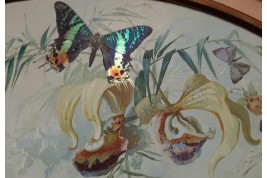 Real butterflies, fan leaf by Gardo and Poulin, circa 1895