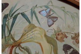 Real butterflies, fan leaf by Gardo and Poulin, circa 1895