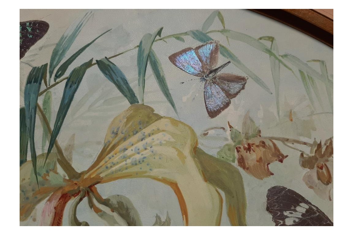 Real butterflies, fan leaf by Gardo and Poulin, circa 1895