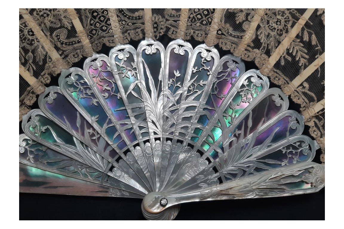 Reeds, 19th century fan