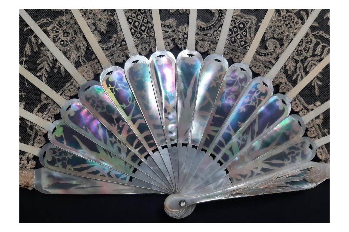 Reeds, 19th century fan