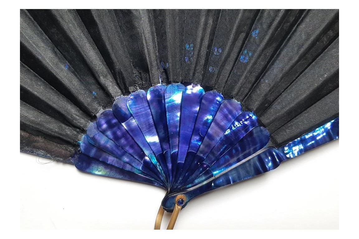 Blue magic, fan cica 1900