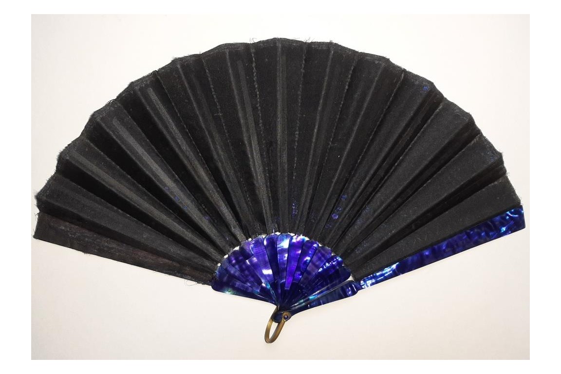 Blue magic, fan cica 1900