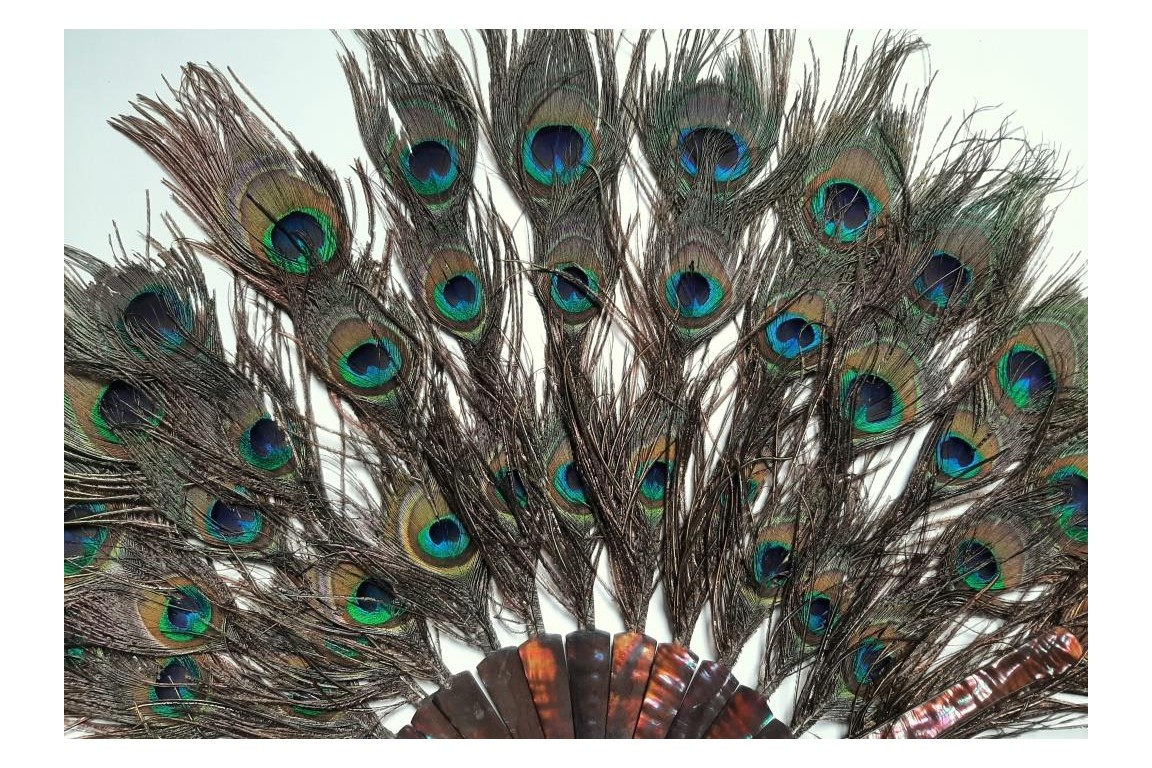 Happy peacock, fan circa 1900