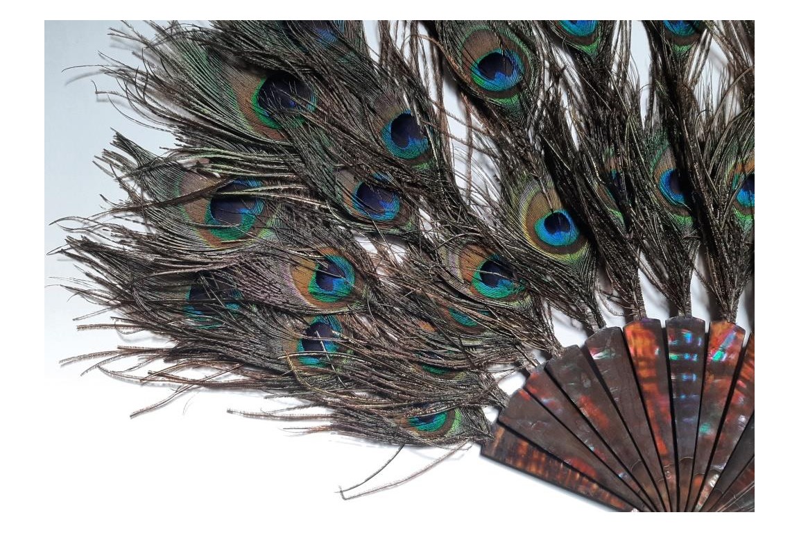 Happy peacock, fan circa 1900