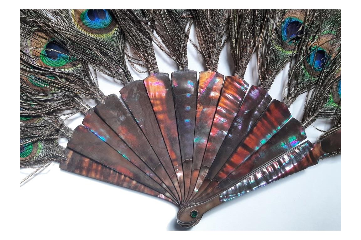 Happy peacock, fan circa 1900