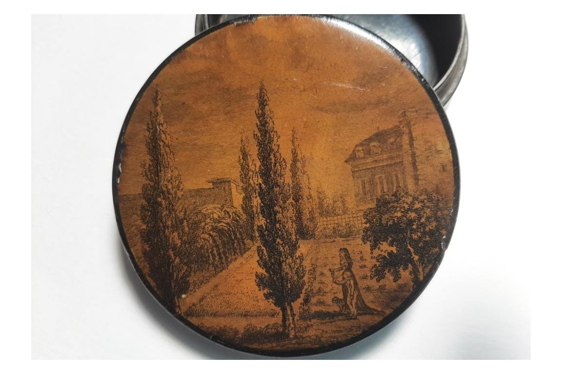 The royal family at the Temple prison, early 19th century snuffbox