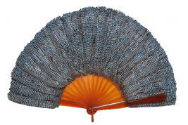 Blue jay, feather fan, late 19th century