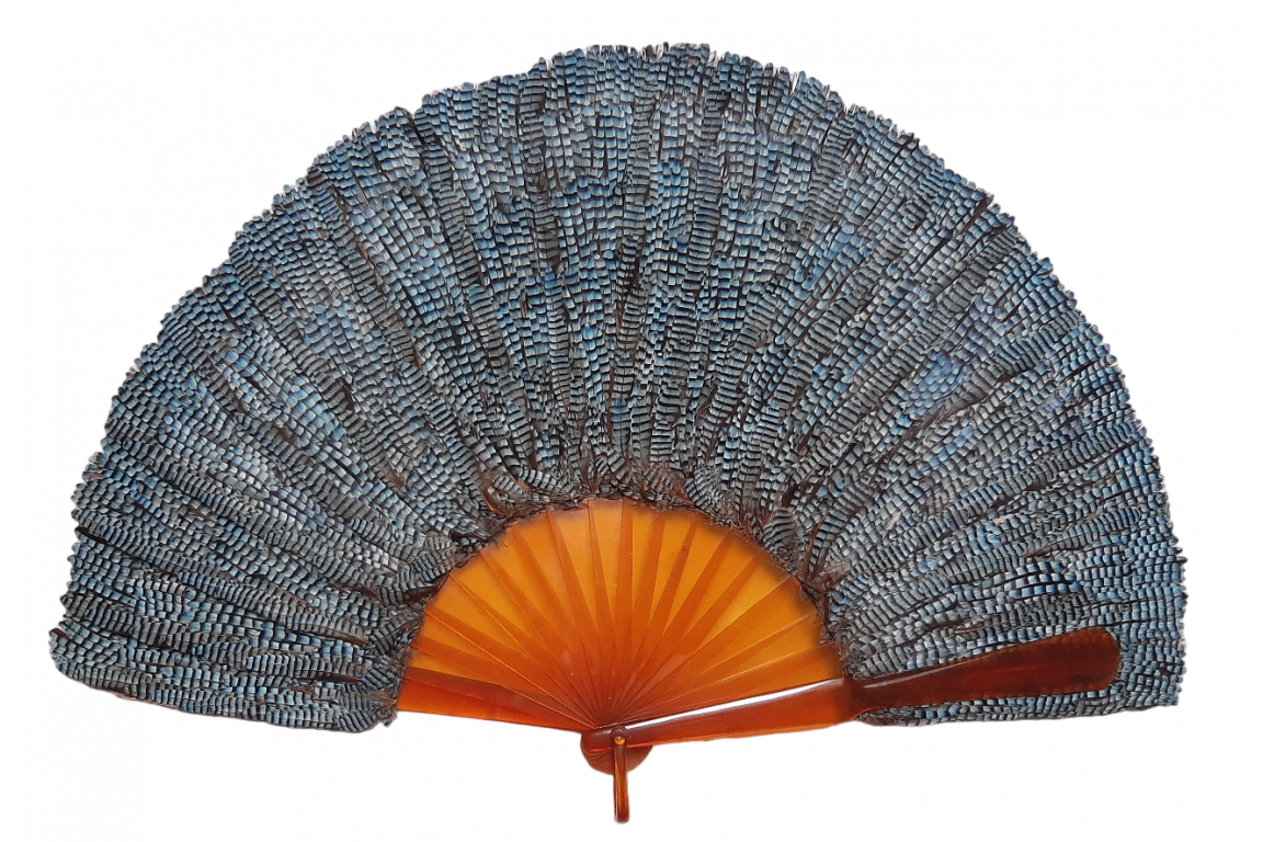 Blue jay, feather fan, late 19th century