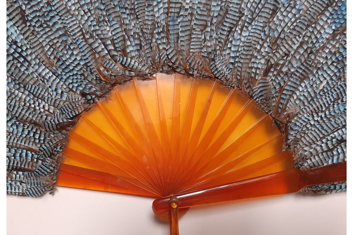 Blue jay, feather fan, late 19th century