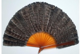 Blue jay, feather fan, late 19th century