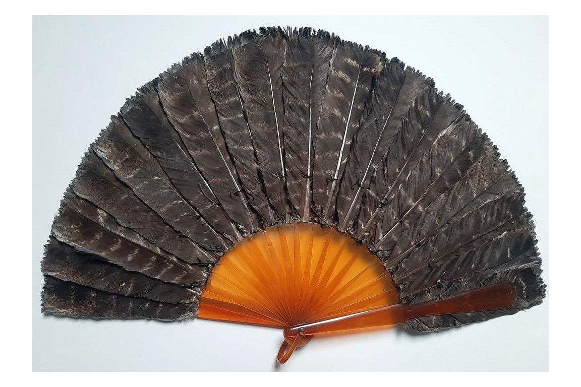 Blue jay, feather fan, late 19th century