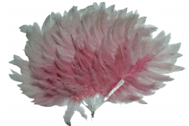 Pink rhea, feather fan circa 1925