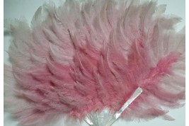 Pink rhea, feather fan circa 1925