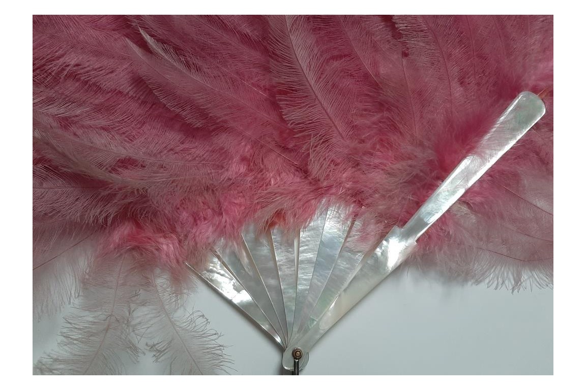 Pink rhea, feather fan circa 1925