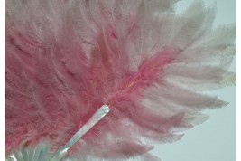 Pink rhea, feather fan circa 1925