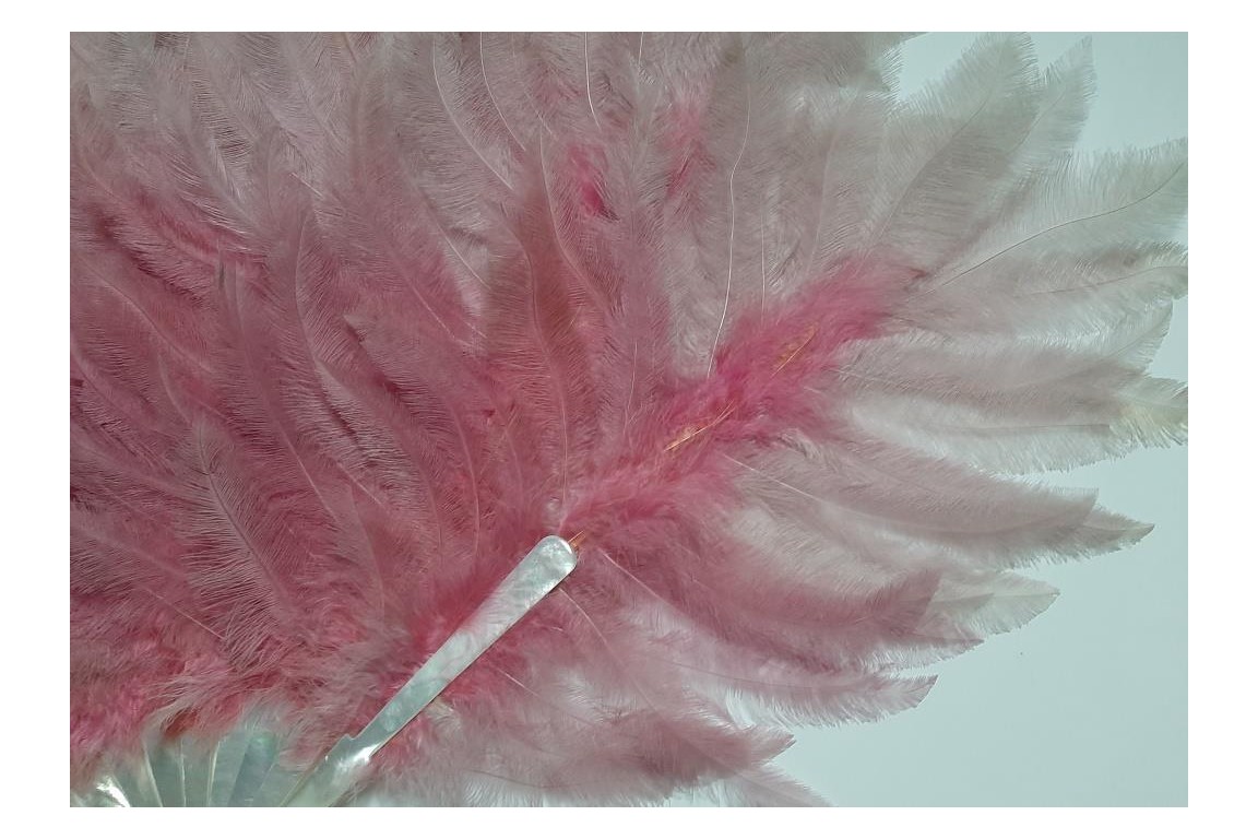 Pink rhea, feather fan circa 1925