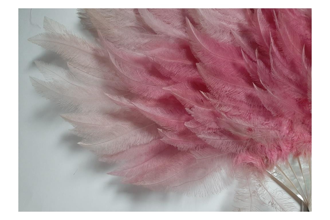 Pink rhea, feather fan circa 1925