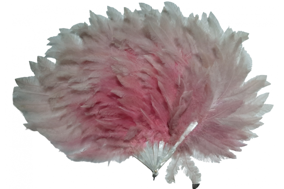 Pink rhea, feather fan circa 1925