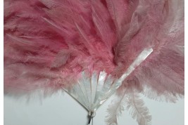 Pink rhea, feather fan circa 1925