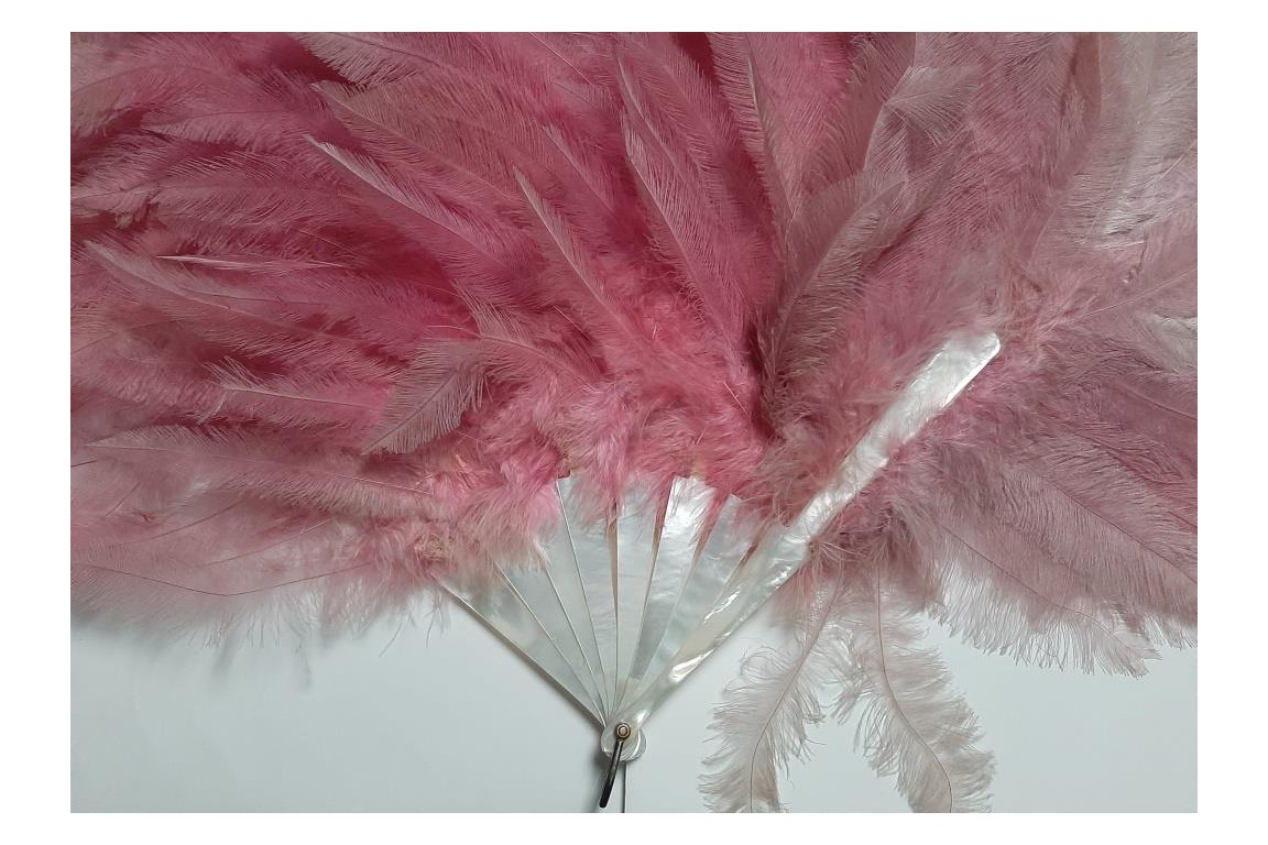 Pink rhea, feather fan circa 1925