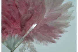 Pink rhea, feather fan circa 1925