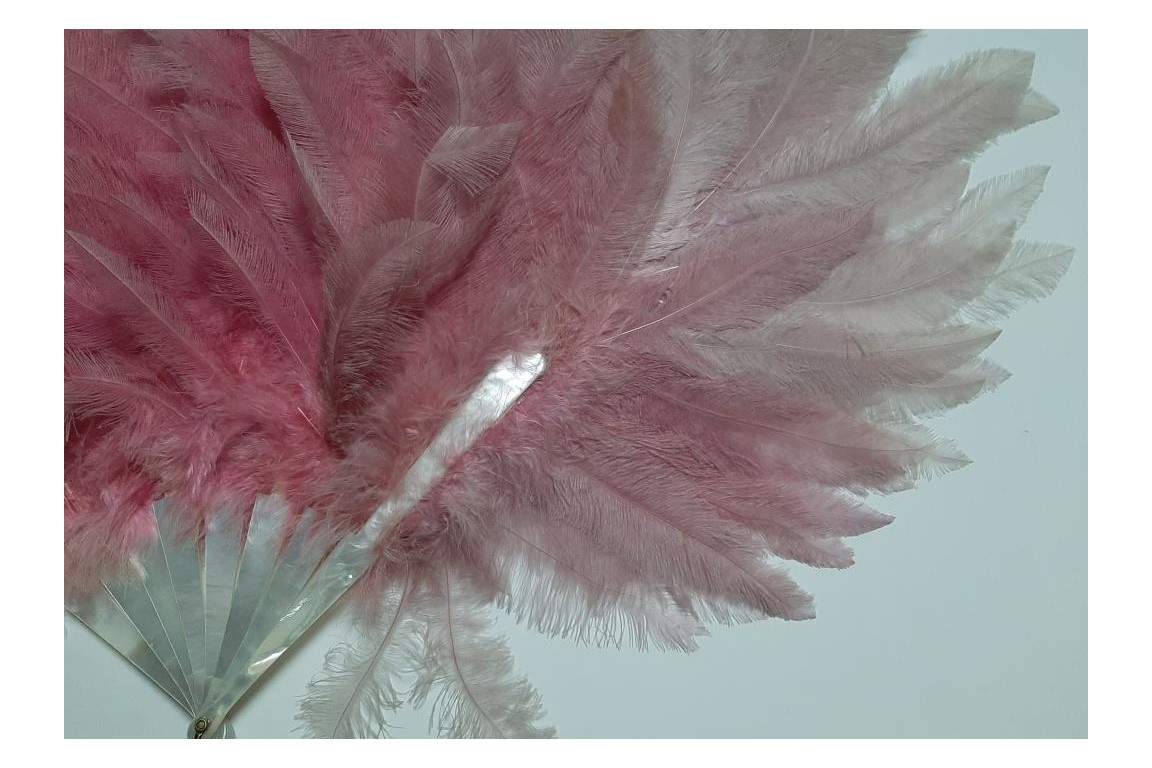 Pink rhea, feather fan circa 1925