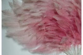 Pink rhea, feather fan circa 1925