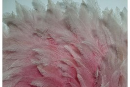 Pink rhea, feather fan circa 1925