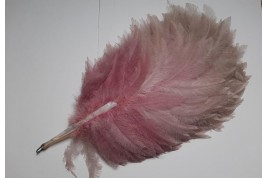 Pink rhea, feather fan circa 1925