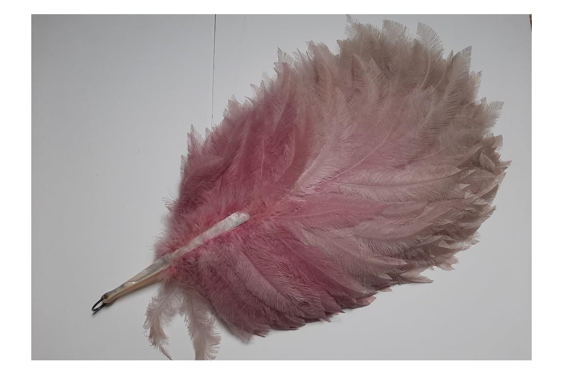 Pink rhea, feather fan circa 1925