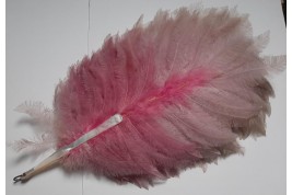 Pink rhea, feather fan circa 1925