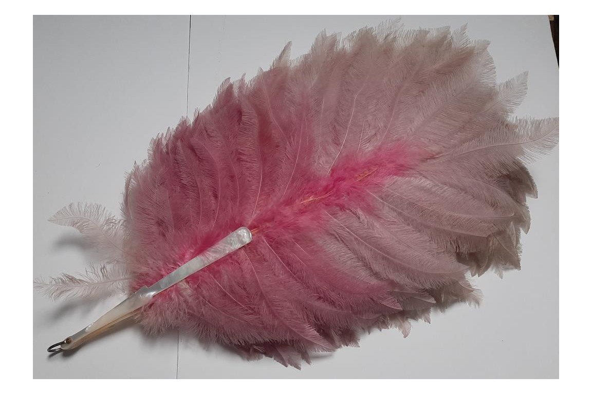 Pink rhea, feather fan circa 1925