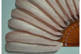 Pink goose, fan circa 1900-10