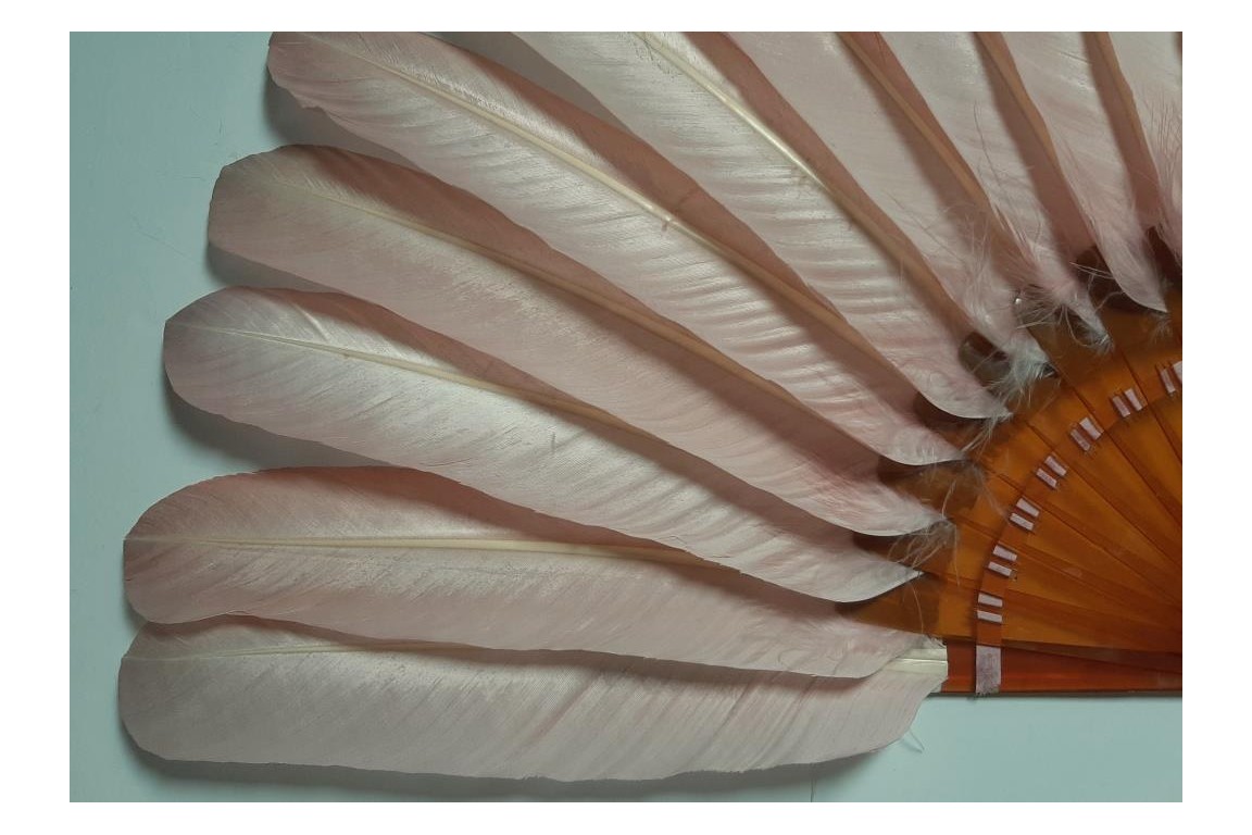 Pink goose, fan circa 1900-10