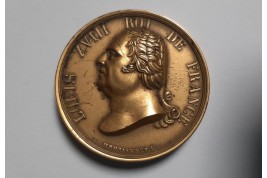 Louis XVIII et le Charte constitutionnelle de 1814, médaille-livre