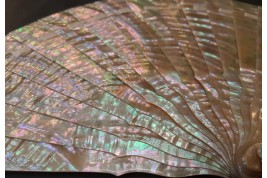 Pearly light, late 19th century fan